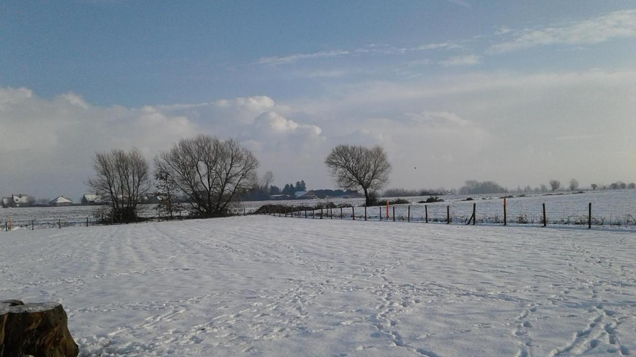 B & B Victors Hof, Met Zwemvijver In Landelijke Setting Lievegem Zewnętrze zdjęcie