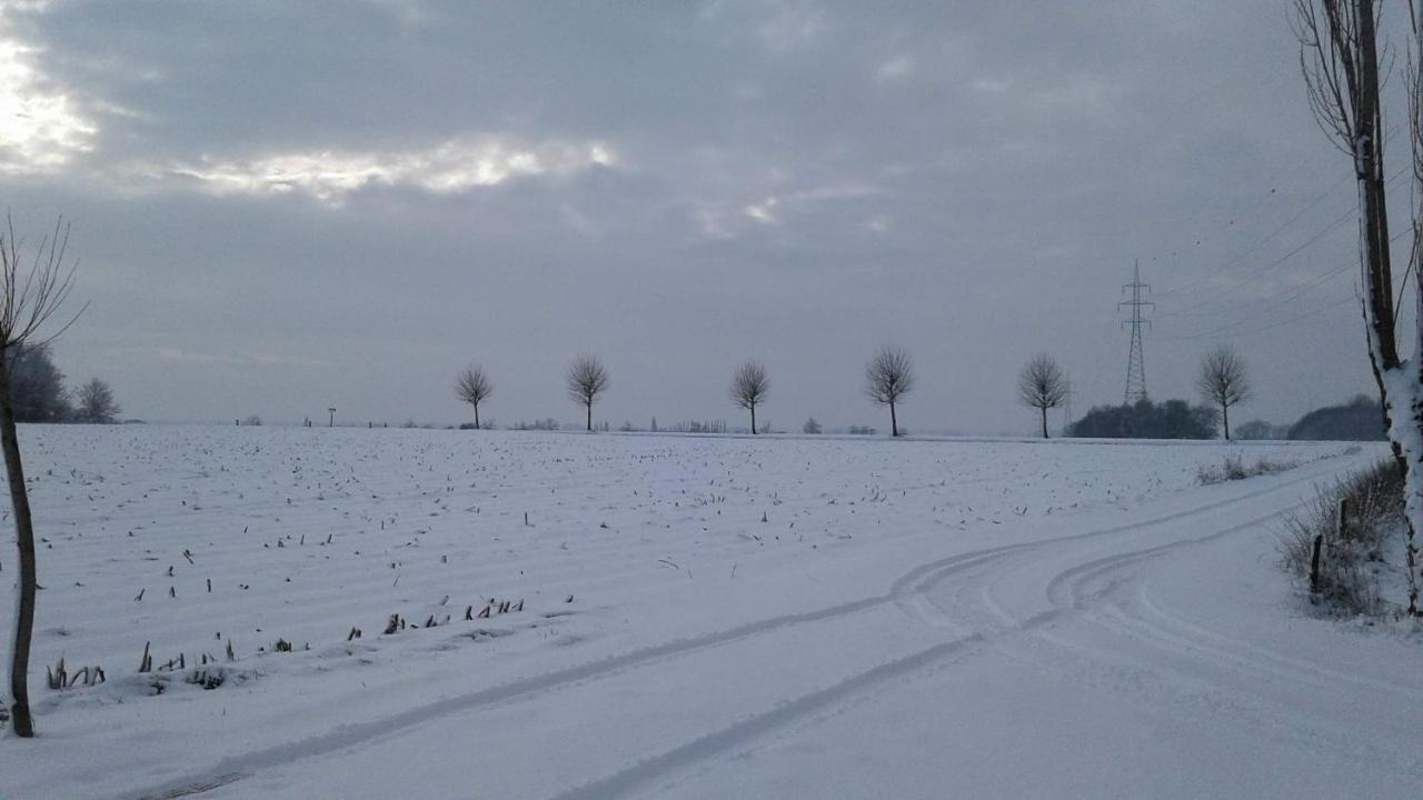 B & B Victors Hof, Met Zwemvijver In Landelijke Setting Lievegem Zewnętrze zdjęcie