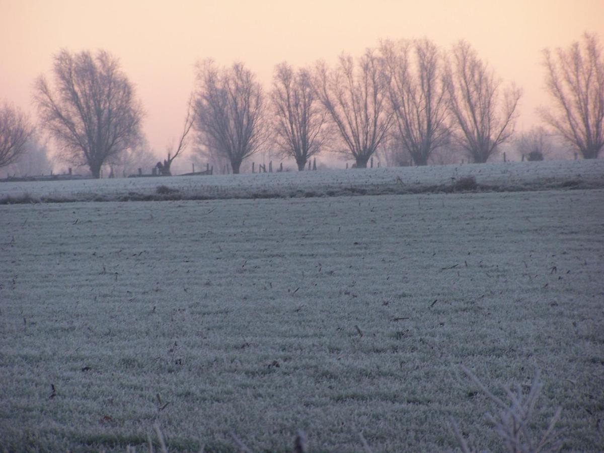 B & B Victors Hof, Met Zwemvijver In Landelijke Setting Lievegem Zewnętrze zdjęcie