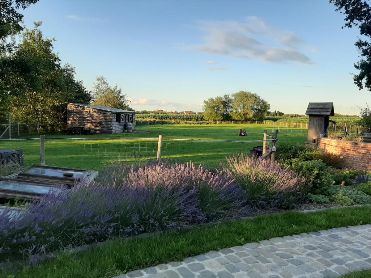 B & B Victors Hof, Met Zwemvijver In Landelijke Setting Lievegem Zewnętrze zdjęcie