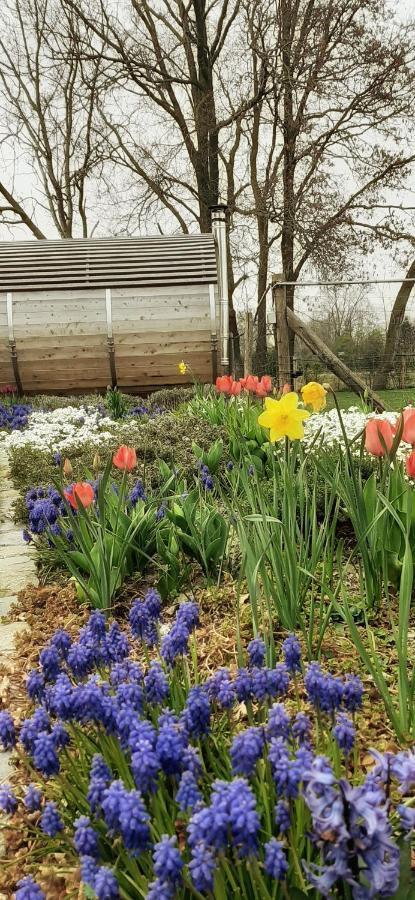 B & B Victors Hof, Met Zwemvijver In Landelijke Setting Lievegem Zewnętrze zdjęcie