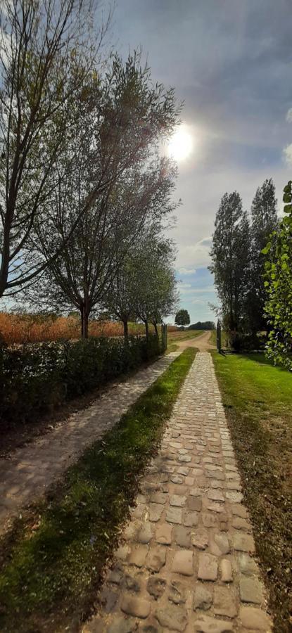 B & B Victors Hof, Met Zwemvijver In Landelijke Setting Lievegem Zewnętrze zdjęcie