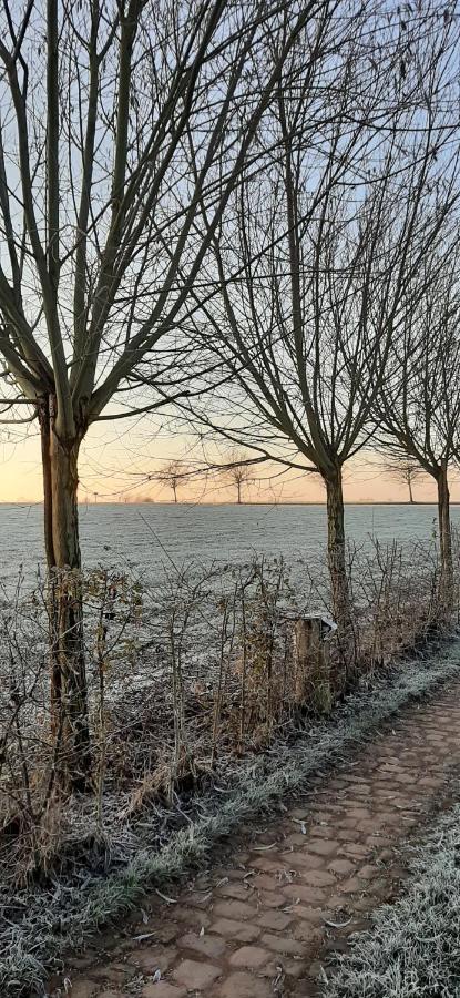 B & B Victors Hof, Met Zwemvijver In Landelijke Setting Lievegem Zewnętrze zdjęcie