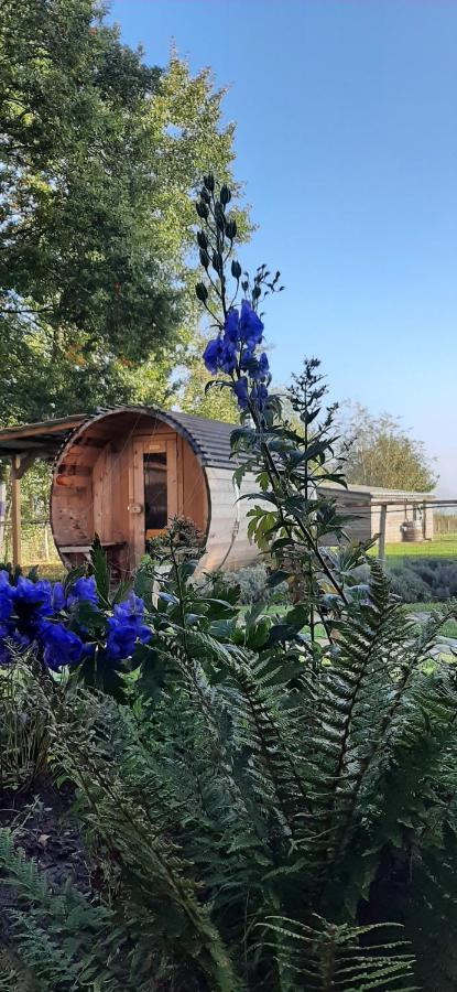 B & B Victors Hof, Met Zwemvijver In Landelijke Setting Lievegem Zewnętrze zdjęcie
